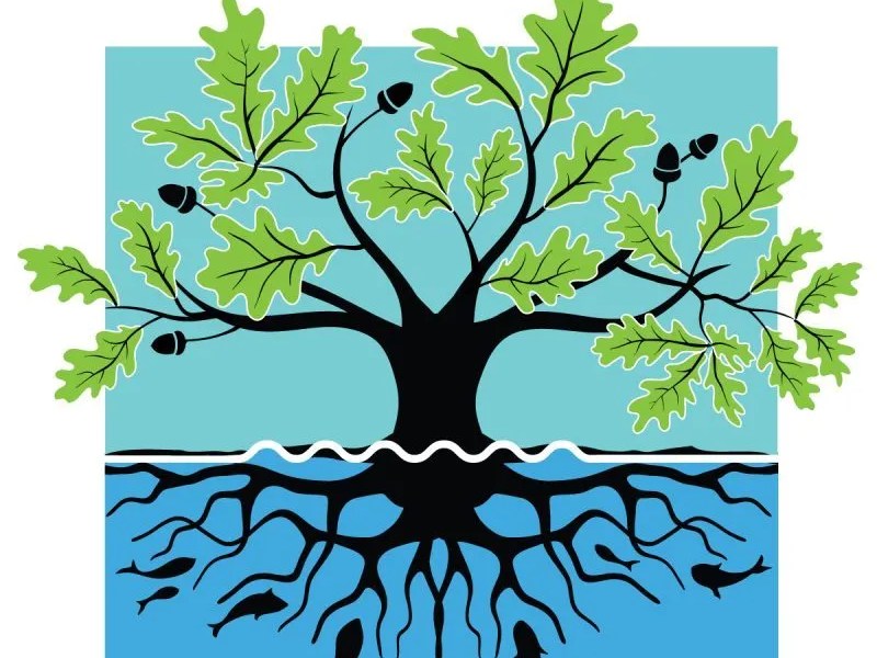 Contemporary American Indians&nbsp;101